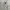 Casual Harrington jacket Pria white photo 4
