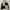Streetwear Windbreaker Pria white black photo 1