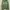 Streetwear Y2K Hoody Pria green photo 1