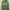 Streetwear Y2K Hoody Pria Green
