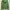 Streetwear Y2K Hoody Pria green photo 2