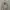 Dickies Streetwear Y2K Sweater Pria cream photo 1