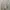 Dickies Streetwear Y2K Sweater Pria cream photo 2