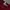 Arnold Palmer Coquette Casual Kimono Pria red photo 4