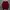 Arnold Palmer Coquette Casual Kimono Pria Red