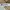 Champion Streetwear Sportswear Hoody Pria white photo 4