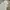 Champion Streetwear Sportswear Hoody Pria White