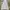 Champion Streetwear Sportswear Hoody Pria white photo 1