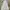Champion Streetwear Sportswear Hoody Pria White