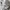 Vintage Sportswear Windbreaker Pria white photo 5
