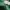 Merrell Sportswear Hoody Pria green photo 5