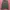 Merrell Sportswear Hoody Pria Green