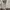 Adidas Y2K Sportswear Hoody Pria white photo 3