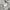 Polo Ralph Lauren Y2K Coquette T-shirt Wanita white black photo 4