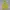 Descente Casual Windbreaker Pria Yellow
