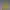 Descente Casual Windbreaker Pria Yellow