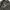 Streetwear Y2K Formal shirt Pria multicolor photo 4