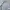 Beanpole Casual Sweatshirt Pria gray photo 2