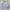 Beanpole Casual Sweatshirt Pria gray photo 4