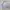 Beanpole Casual Sweatshirt Pria gray photo 1