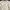 Japanese brand Vintage Coquette Blouse Wanita cream photo 3