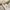 Japanese brand Vintage Coquette Blouse Wanita cream photo 5