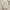 Japanese brand Vintage Coquette Blouse Wanita cream photo 4