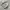 Topten Casual Sweatshirt Pria multicolor photo 4