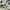 Alexander McQueen Streetwear Casual Sneakers Pria white black photo 8