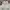 Fashion Nova Streetwear Y2K Windbreaker Pria white photo 3