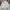 Fashion Nova Streetwear Y2K Windbreaker Pria white photo 2