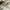 Fashion Nova Streetwear Y2K Windbreaker Pria white photo 6
