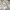 Fashion Nova Streetwear Y2K Windbreaker Pria white photo 5