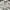 Fashion Nova Streetwear Y2K Windbreaker Pria white photo 4