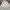 Fashion Nova Streetwear Y2K Windbreaker Pria white photo 1