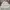 Fashion Nova Streetwear Y2K Windbreaker Pria White