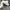 Alexander McQueen Casual Sneakers Wanita white photo 1