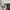 Alexander McQueen Casual Sneakers Wanita white photo 2