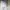 Alexander McQueen Casual Sneakers Wanita white photo 4
