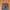 Vintage Streetwear Jeans Pria navy blue photo 4
