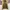Vintage Y2K Windbreaker Pria cream photo 3