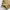 Vintage Y2K Windbreaker Pria cream photo 5
