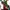 Vintage Kebaya Wanita white red photo 2