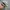 Japanese brand Vintage Y2K Hat Pria white photo 3