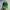 Japanese Brand Vintage Streetwear Hat Pria Green