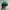 Japanese brand Vintage Streetwear Hat Pria green photo 2