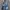 Streetwear Y2K Bag Pria navy blue photo 1