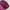 Japanese brand Streetwear Y2K Hat Pria multicolor burgundy photo 2