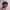 Japanese brand Streetwear Y2K Hat Pria multicolor burgundy photo 1