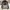 Vintage Y2K Windbreaker Pria tan photo 3